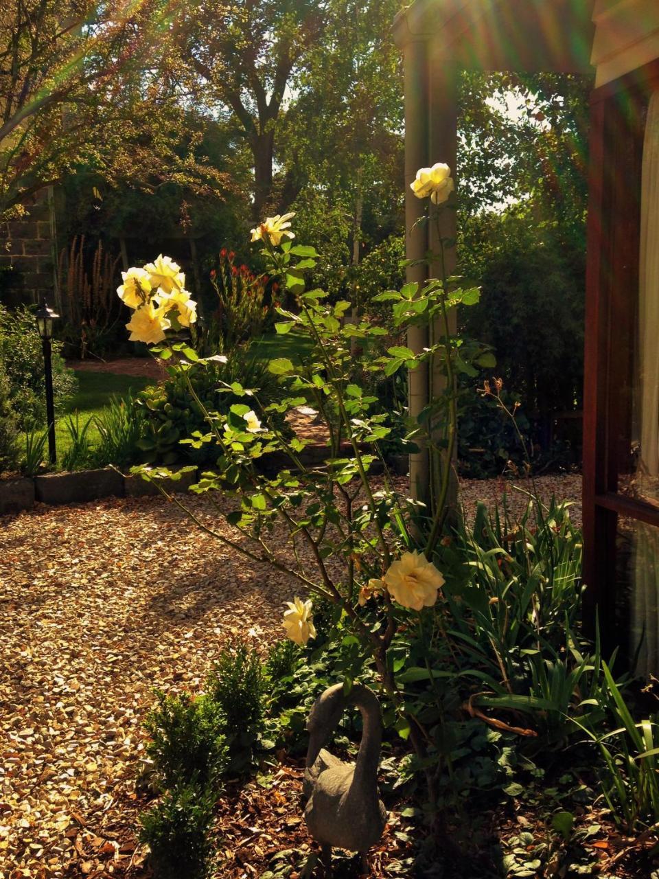 Bindley House B&B Cottage Kilmore Bagian luar foto